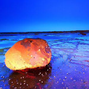 Meet your Posher, Jersi